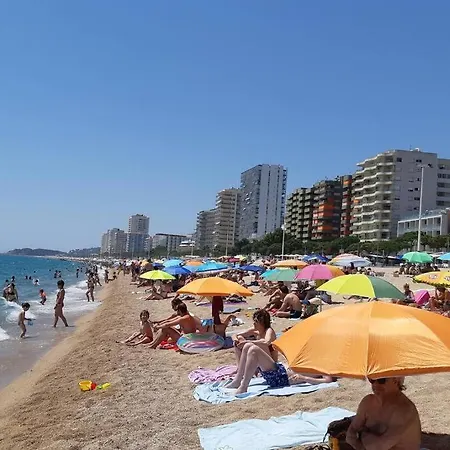 Апартаменти Acogedor Apto. Muy Cerca De La Playa, Платжа-д'Ару